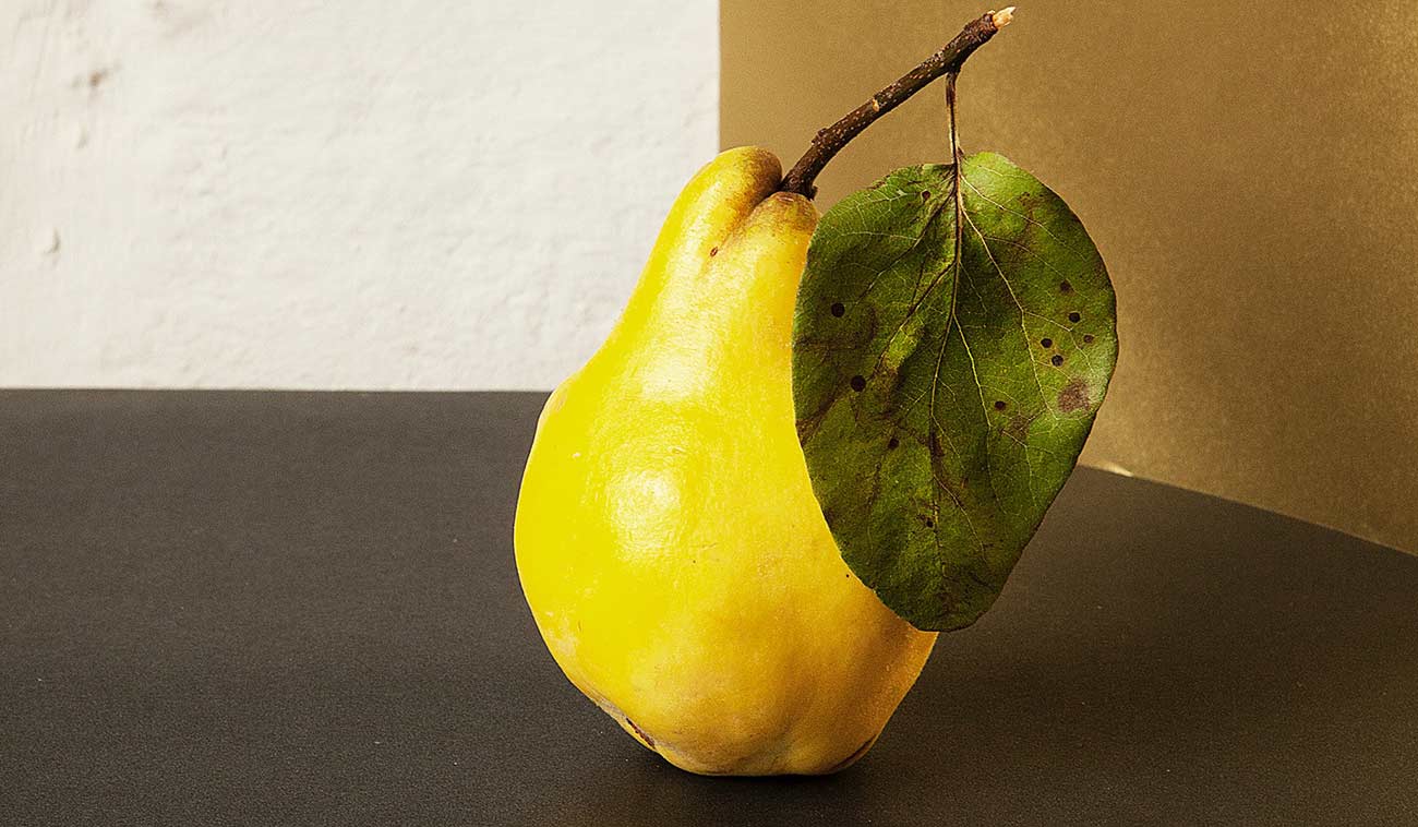 All We Need is a Little Fresh Inspiration